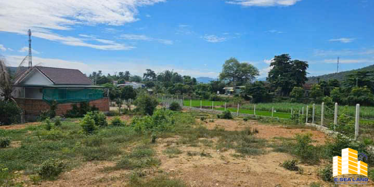 🌾 BÁN 2 LÔ ĐẤT LIỀN KỀ – GIÁ TỐT TẠI XÃ XUÂN ĐỒNG (Diên Đồng cũ)