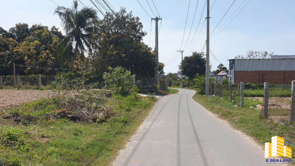 🏡 CƠ HỘI ĐẦU TƯ HIẾM CÓ TẠI VẠN NINH – KHÁNH HÒA - Ảnh 5