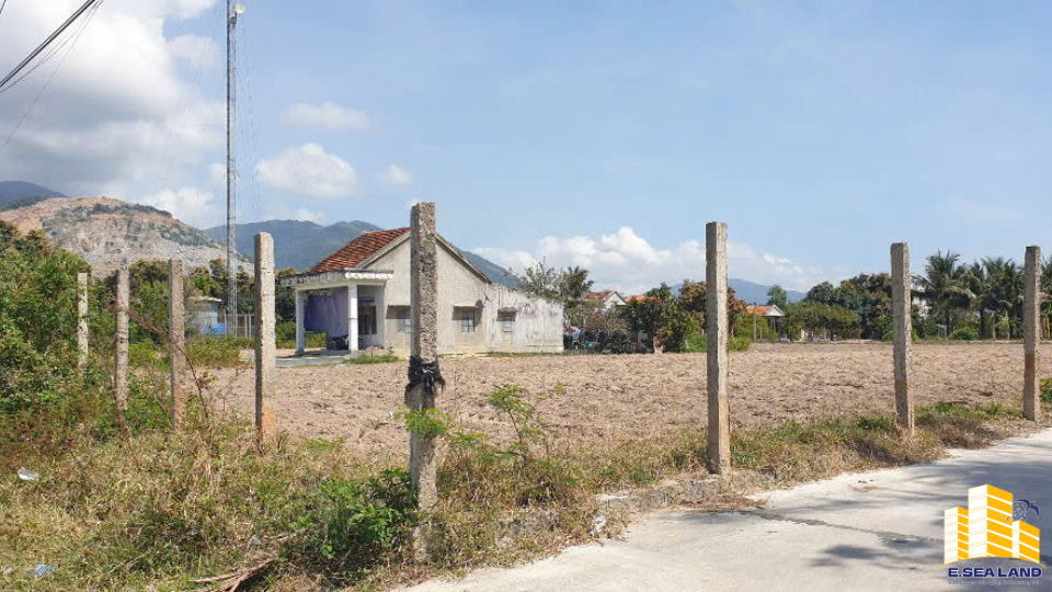 🏡 CƠ HỘI ĐẦU TƯ HIẾM CÓ TẠI VẠN NINH – KHÁNH HÒA - Ảnh 7