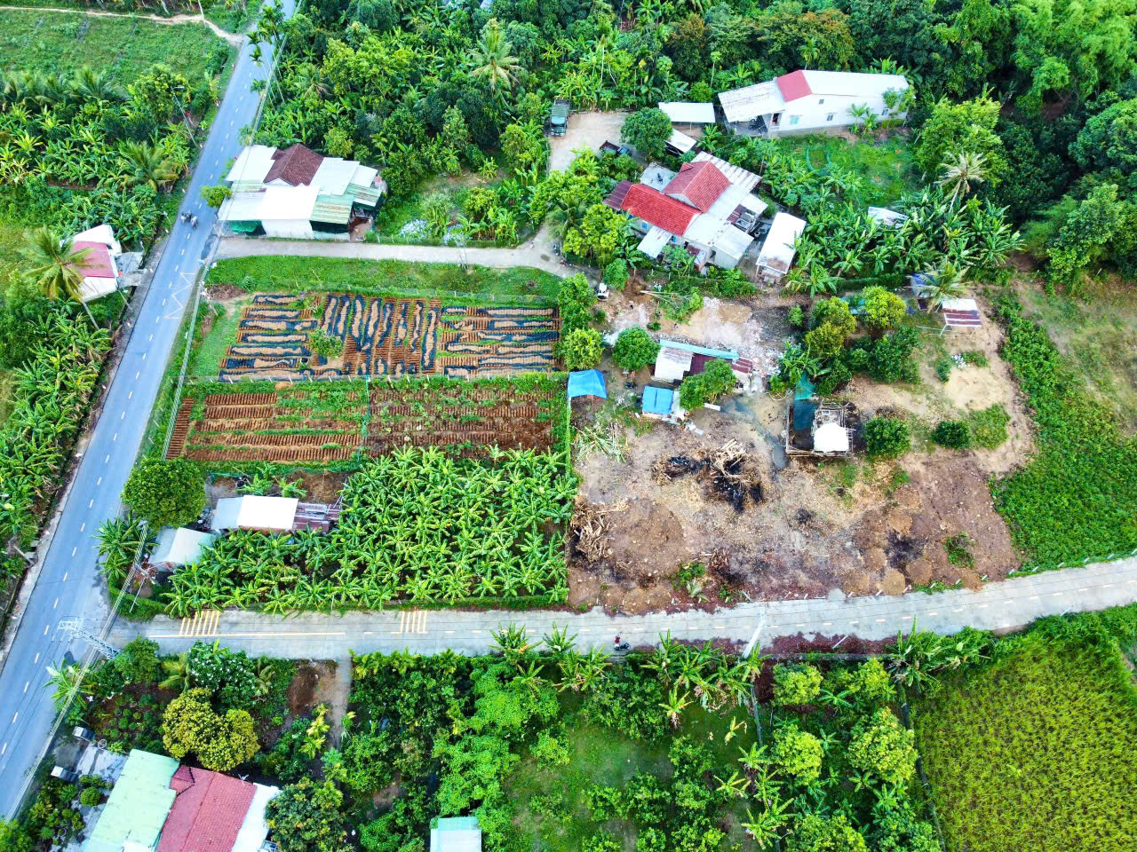 🏡 MỞ BÁN 5 LÔ ĐẤT GẦN SÔNG CÁI – DIÊN LÂM, DIÊN KHÁNH - Ảnh 3
