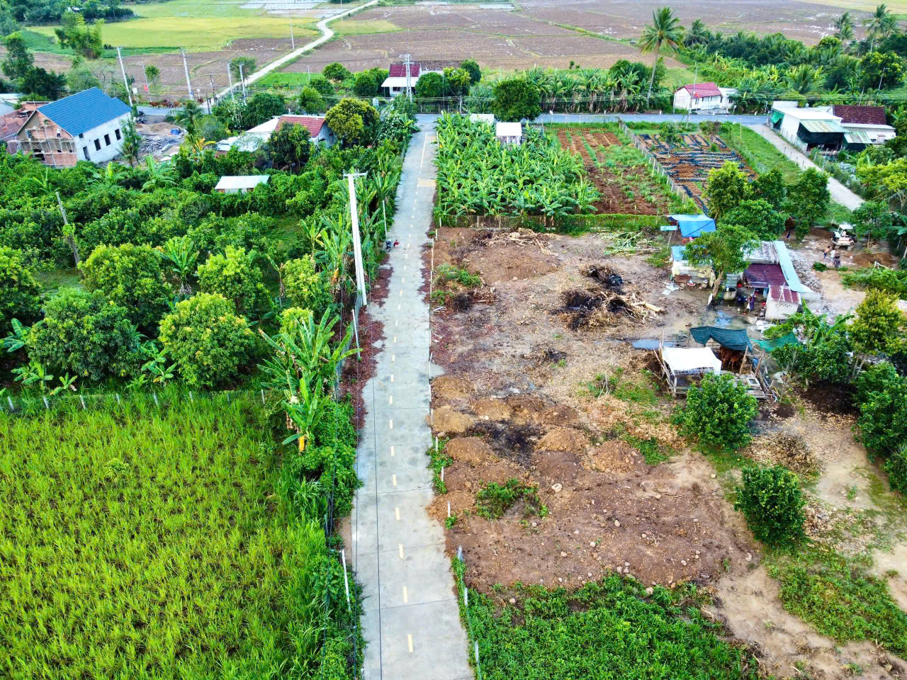 🏡 MỞ BÁN 5 LÔ ĐẤT GẦN SÔNG CÁI – DIÊN LÂM, DIÊN KHÁNH - Ảnh 8