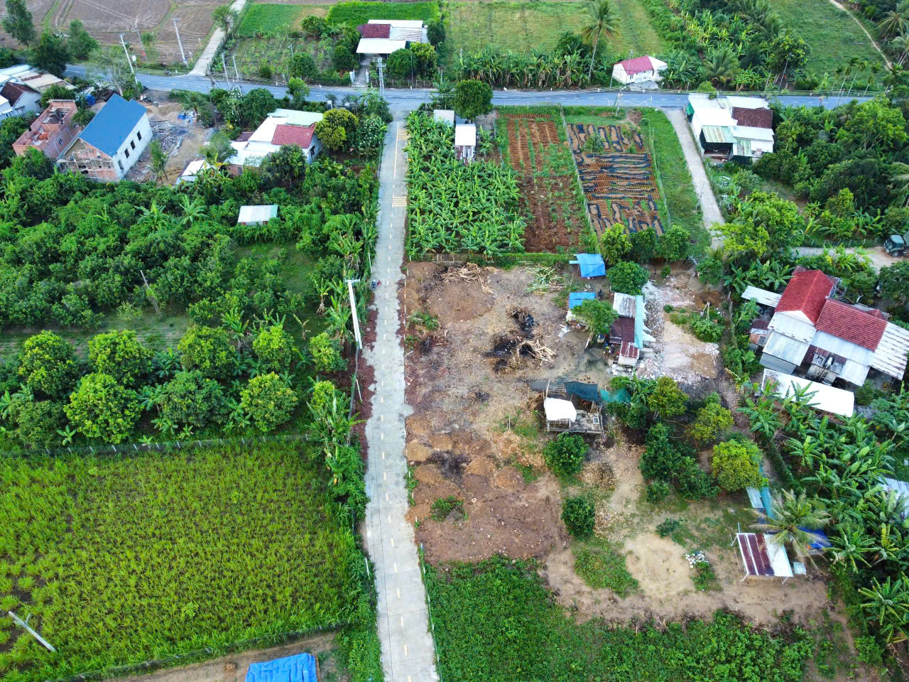 🏡 MỞ BÁN 5 LÔ ĐẤT GẦN SÔNG CÁI – DIÊN LÂM, DIÊN KHÁNH - Ảnh 9