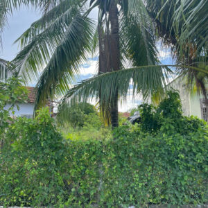 🔑 BÁN LÔ ĐẤT THỔ CƯ ĐẸP TẠI BÌNH LỘC – DIÊN KHÁNH – KHÁNH HÒA