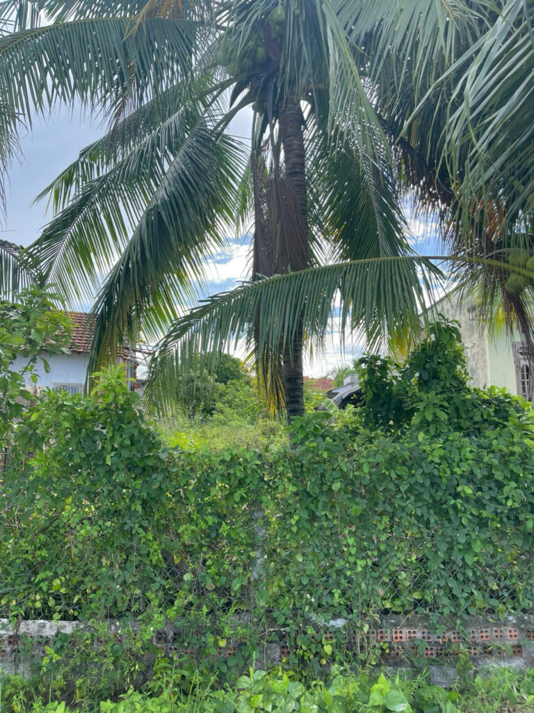 🔑 BÁN LÔ ĐẤT THỔ CƯ ĐẸP TẠI BÌNH LỘC – DIÊN KHÁNH – KHÁNH HÒA