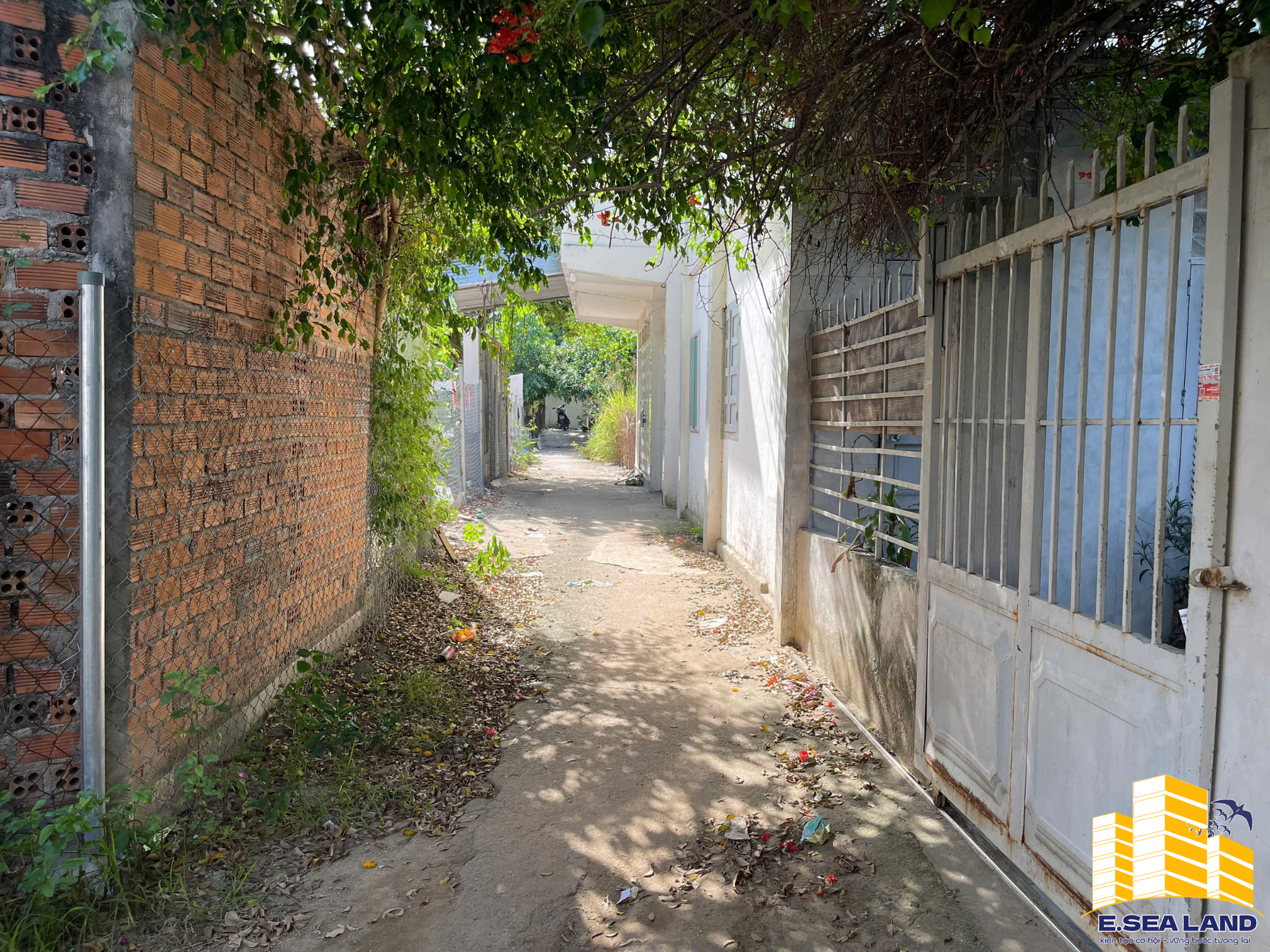 💥 MỞ BÁN 3 LÔ ĐẤT Ở ĐÔ THỊ – VỊ TRÍ ĐẸP PHƯỜNG TÂY NHA TRANG - Ảnh 2