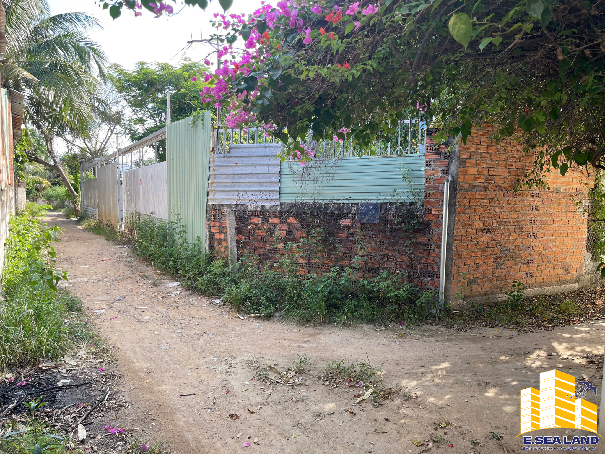 💥 MỞ BÁN 3 LÔ ĐẤT Ở ĐÔ THỊ – VỊ TRÍ ĐẸP PHƯỜNG TÂY NHA TRANG