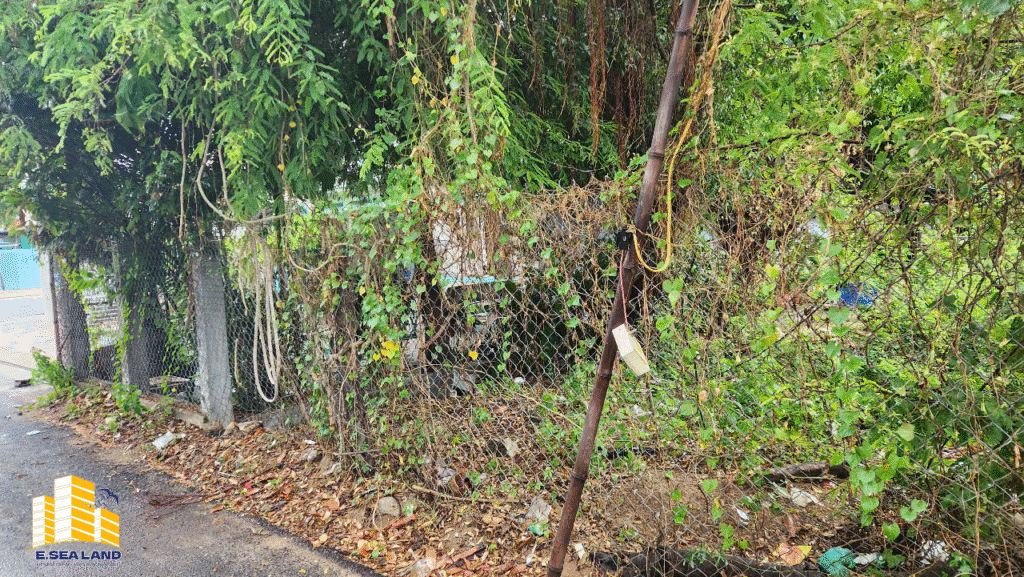 🏡 CHỦ GỬI BÁN GẤP – ĐẤT Ở  TRUNG TÂM XÃ VẠN NINH (THỊ TRẤN VẠN GIÃ CŨ)