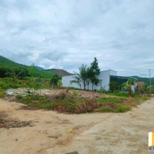 🏢 BÁN LÔ ĐẤT VUÔNG VỨC - TÂY NINH HOÀ- SỔ SẴN SANG TÊN NGAY