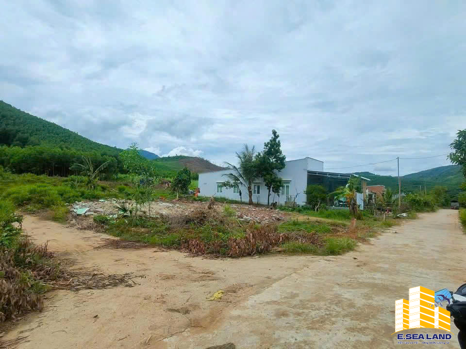 🏢 BÁN LÔ ĐẤT VUÔNG VỨC - TÂY NINH HOÀ- SỔ SẴN SANG TÊN NGAY