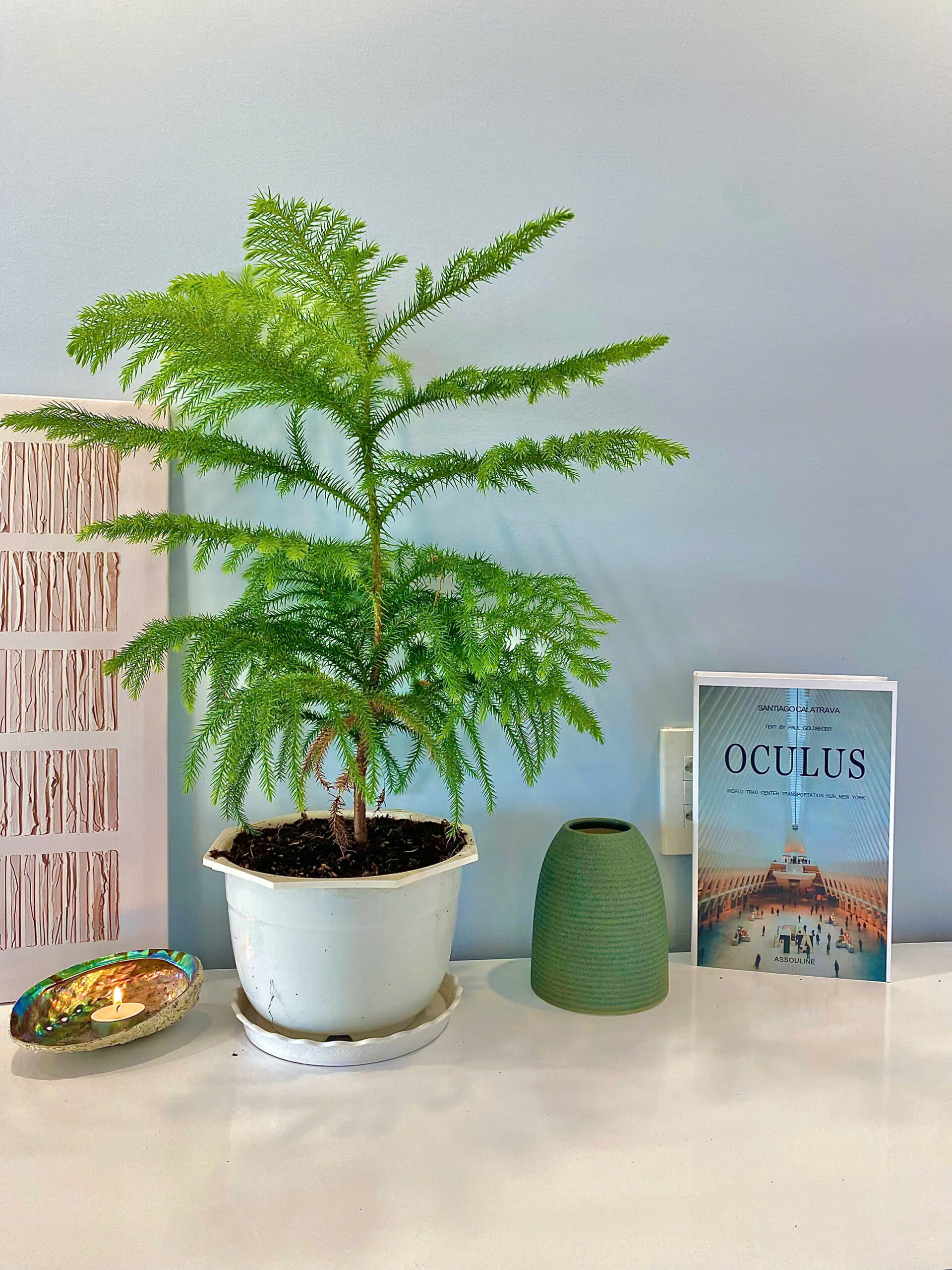 🏢 BÁN CĂN HỘ VCN PHƯỚC HẢI, TẦNG THẤP - FULL NỘI THẤT ĐẸP - Ảnh 5